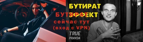 ПСИЛОЦИБИНОВЫЕ ГРИБЫ Богданович