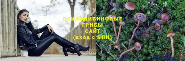MDMA Богородск