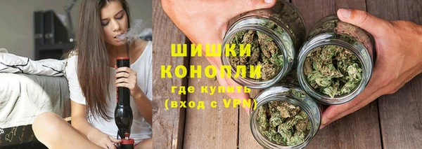 тгк Бронницы