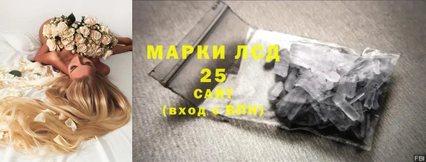 ПСИЛОЦИБИНОВЫЕ ГРИБЫ Богданович