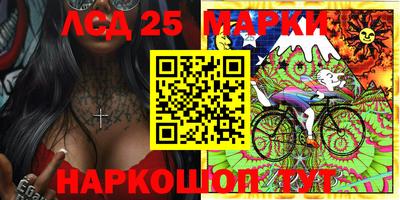 шишки Берёзовский