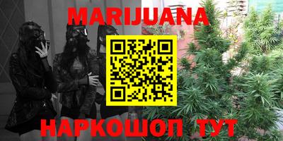 сатива Беслан