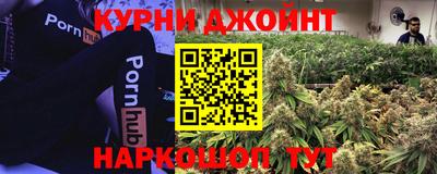 шишки Берёзовский