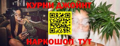 шишки Берёзовский