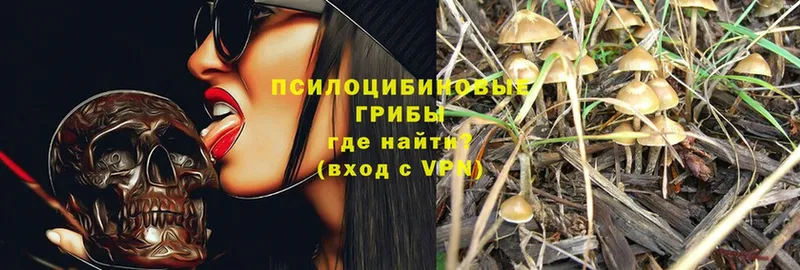 Псилоцибиновые грибы Magic Shrooms  Гай 