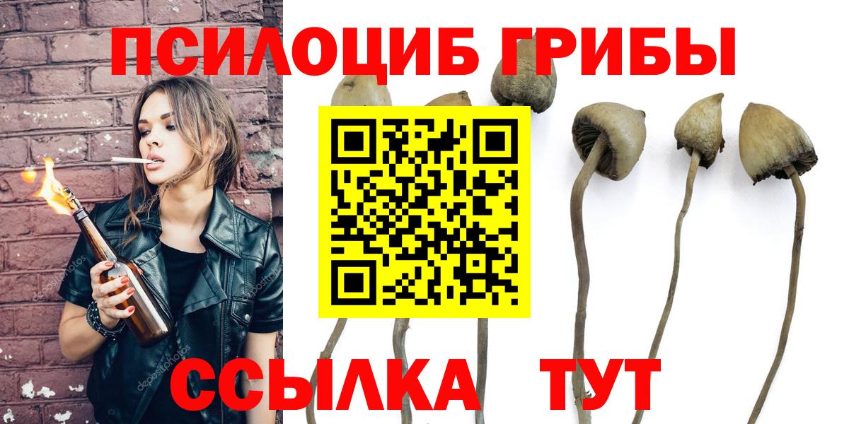 Псилоцибиновые грибы прущие грибы  магазин  наркотиков  Гай  Галлюциногенные грибы Magic Shrooms 