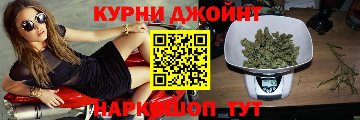 МАРИХУАНА сатива Гай